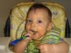 spoonfed