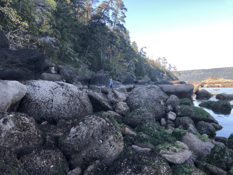 This interesting beach is 5 minutes away from our home.