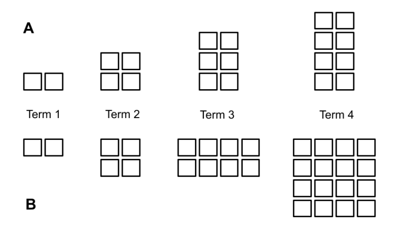 One pattern growing by 2 each time and one pattern multiplying by 2 each time.