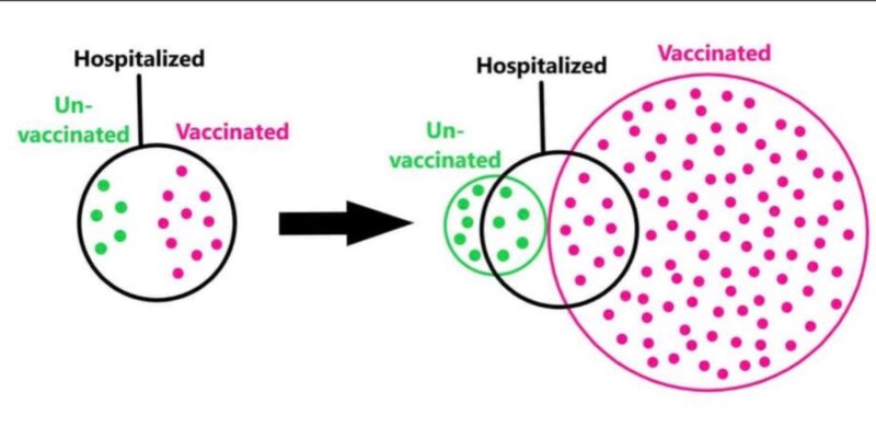 On the left, a circle showing just the hospitalized people who are either vaccinated or unvaccinated. On the right, three circles are shown with the total unvaccinated population and vaccinated population, and the proportion of each that are hospitalized. The drawing makes it clear that far more vaccinated people have escaped hospitalization versus the unvaccinated.
