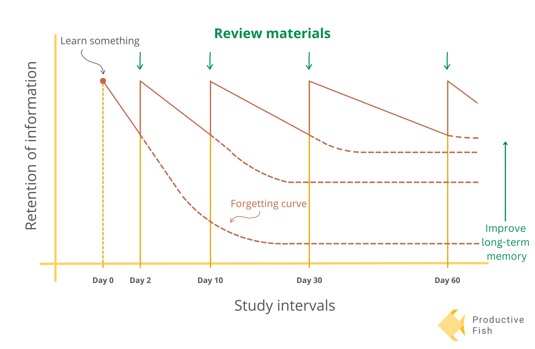 A graph of the Forgetting Curve by Ebbinghaus.